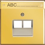 JUNG LS 990 Блеск золота Накладка 2-ой наклонной ТЛФ/комп розетки с полем для надписи (GO2969-2NAUA)