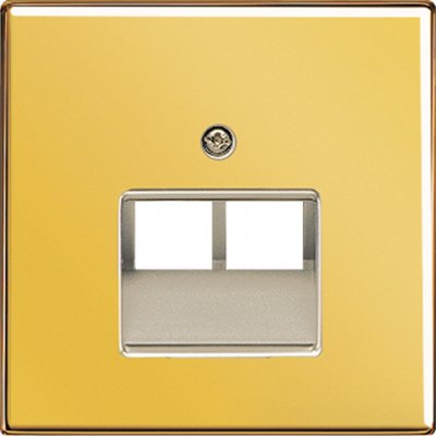 JUNG LS 990 Блеск золота Накладка 2-ой наклонной ТЛФ/комп розетки (GO2969-2UA) JUNG LS 990 Блеск золота Накладка 2-ой наклонной ТЛФ/комп розетки (GO2969-2UA)