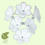 Настенный светильник бра Lussole GRLSA-5101-01 ASINARA