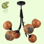Люстра Lussole GRLSF-6203-06 BAGHERIA