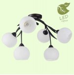 Люстра Lussole GRLSF-6283-06 BAGHERIA