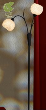 Торшер Lussole GRLSF-6295-02 BAGHERIA