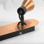 Светильник поворотный спот Lussole GRLSL-6801-02 FORLI