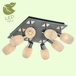 Потолочный светильник Lussole GRLSP-0051 HACKBERRY