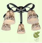 Люстра Lussole GRLSP-0101 CONWAY