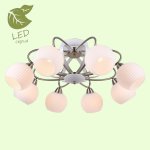 Люстра Lussole GRLSP-0167 FAYETTEVILLE