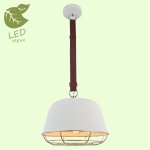 Подвесной светильник Lussole GRLSP-8043 KODIAK