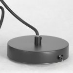 Подвесные светильники Lussole GRLSP-8211 STRAWBERRY