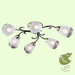 Люстра Lussole GRLSP-9952 OAKLAND