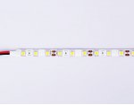 Светодиодная лента Ambrella Light GS2102 5050 60Led /14.4W m/ 12V IP65 4500K 5m Ambrella GS2102 GS