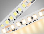 Светодиодная лента Ambrella Light GS3201 2835 180Led /14.4W m/ 24V IP20 3000K 5m Ambrella GS3201 GS
