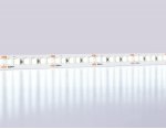 Светодиодная лента Ambrella Light GS3213 2835 180Led /14.4W m/ 24V IP20 6500K 5m Ambrella GS3213 2835 180Led/ 14.4W m/ 24V IP20 6500K/ 5000*10*1.2mm (2 конт.)