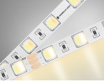 Светодиодная лента с регулировкой температуры света GS4101 5050 60Led /14W m/ 24V IP20 CCT 3000-6500 Ambrella GS4101 GS