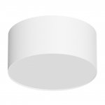 IT014-0206 white светильник потолочный