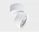 IT02-010 white 3000K светильник потолочный влагозащищенный