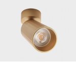 IT08-8011 gold светильник потолочный поворотный