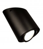 Накладной светильник Lumina Deco Alesti LDC 8060-D JP-D80*H130 BK