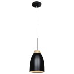 Подвесной светильник Loft it LOFT4402A-BL Watchman