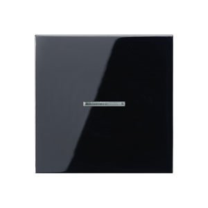 JUNG LS 990 Черный Накладка светорегулятора/выключателя нажимного с ДУ (радио) с индикацией (LS1561.07FKOSW) JUNG LS 990 Черный Накладка светорегулятора/выключателя нажимного с ДУ (радио) с индикацией (LS1561.07FKOSW)