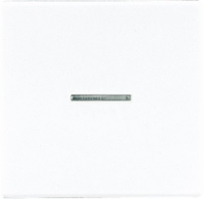 JUNG LS 990 Бел Накладка светорегулятора/выключателя нажимного с ДУ (радио) с индикацией (LS1561.07FKOWW) JUNG LS 990 Бел Накладка светорегулятора/выключателя нажимного с ДУ (радио) с индикацией (LS1561.07FKOWW)