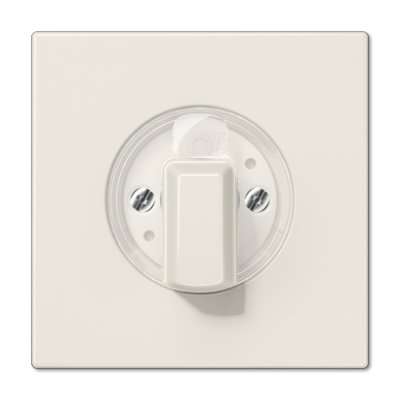 JUNG Накладка поворотного механизма, слоновая кость (LS1941) JUNG Накладка поворотного механизма, слоновая кость (LS1941)