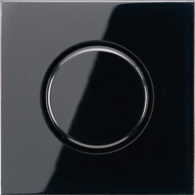 JUNG LS 990 Черный Накладка регулятора частоты вращения (LS940.20SW) JUNG LS 990 Черный Накладка регулятора частоты вращения (LS940.20SW)