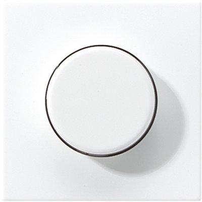 JUNG LS 990 Беж Накладка светорегулятора поворотного (LS940) JUNG LS 990 Беж Накладка светорегулятора поворотного (LS940)