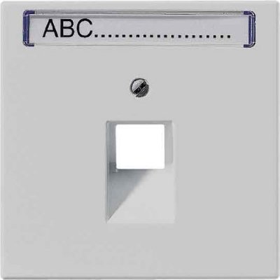 JUNG LS 990 Светло-серый Накладка 1-ой наклонной ТЛФ/комп розетки с полем для надписи (LS969-1NAUALG) JUNG LS 990 Светло-серый Накладка 1-ой наклонной ТЛФ/комп розетки с полем для надписи (LS969-1NAUALG)