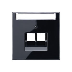 JUNG LS 990 Черный Накладка 2-ой наклонной ТЛФ/комп розетки с полем для надписи (LS969-2NAUASW) JUNG LS 990 Черный Накладка 2-ой наклонной ТЛФ/комп розетки с полем для надписи (LS969-2NAUASW)