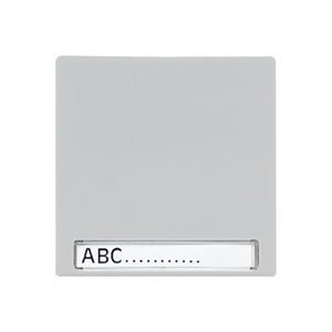 JUNG LS 990 Светло-серый Клавиша 1-я с полем для надписи (LS990NALG) JUNG LS 990 Светло-серый Клавиша 1-я с полем для надписи (LS990NALG)