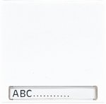 JUNG LS 990 Беж Клавиша 1-я с полем для надписи (LS990NA)