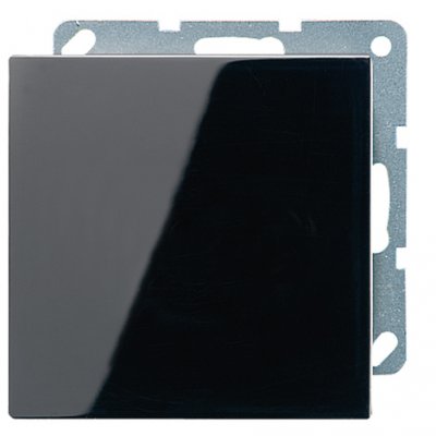 JUNG LS 990 Черный Заглушка (LS994BSW) JUNG LS 990 Черный Заглушка (LS994BSW)