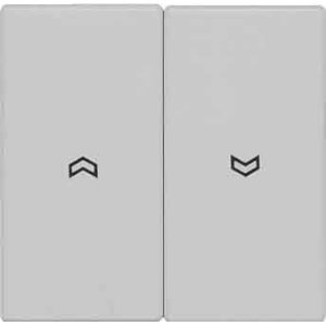 JUNG LS 990 Светло-серый Клавиша 2-я жалюзийная (LS995PLG) JUNG LS 990 Светло-серый Клавиша 2-я жалюзийная (LS995PLG)