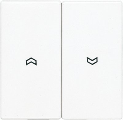 JUNG LS 990 Беж Клавиша 2-я жалюзийная (LS995P) JUNG LS 990 Беж Клавиша 2-я жалюзийная (LS995P)