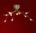 Люстра Lussole LSA-0493-12 Roncobello