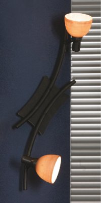 Светильник поворотный спот Lussole LSA-3001-02 LSA-3001 Светильник поворотный спот Lussole LSA-3001-02 LSA-3001