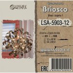 Люстра подвесная Lussole LSA-5903-12 BRIOSCO