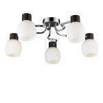 Люстра Lussole LSC-8503-05 CARPINO