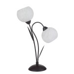 Настольная лампа Lussole LSF-6294-02 BAGHERIA