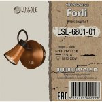 Светильник настенный Lussole LSL-6801-01 FORLI