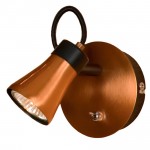 Светильник настенный Lussole LSL-6801-01 FORLI