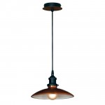 Подвесной светильник Lussole LSL-6806-01 FORLI