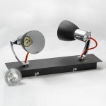 Светильник поворотный спот Lussole LSL-7401-02 FRONTINO