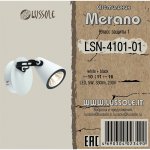 Светильник поворотный спот Lussole LSN-4101-01 MERANO