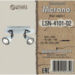 Светильник поворотный спот Lussole LSN-4101-02 MERANO