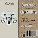 Светильник потолочный Lussole Loft LSN-4101-03