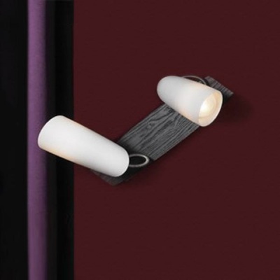 Светильник поворотный спот Lussole LSN-4901-02 SAVA