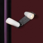 Светильник поворотный спот Lussole LSN-4901-02 SAVA