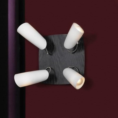 Люстра Lussole LSN-4901-04 SAVA Люстра Lussole LSN-4901-04 SAVA