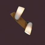 Светильник Lussole LSN-4911-02 SAVA